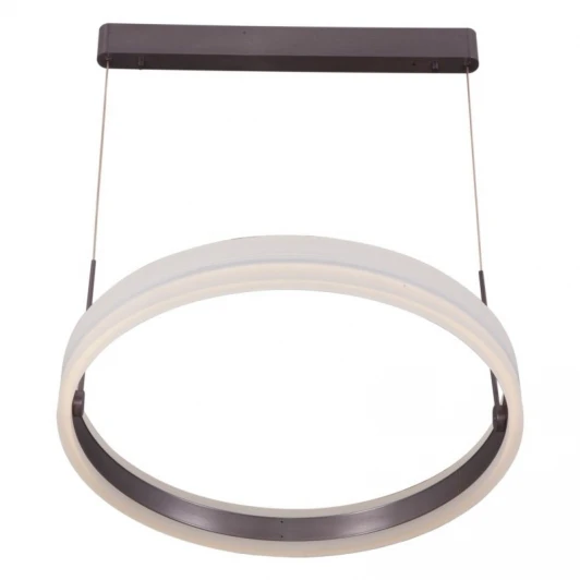 L21461.86 Подвесной светильник L'Arte Luce Wish L21461.86