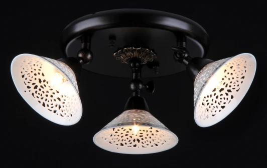 ECO002-33-R Спот Maytoni Spot 2 ECO002-33-R
