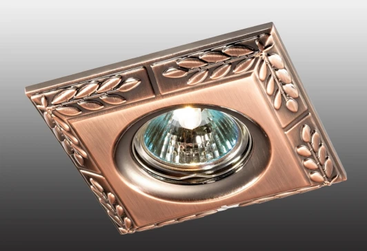 369662 Встраиваемый точечный светильник Novotech Branch 369662