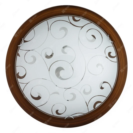 TL9043Y-02OA Настенно-потолочный светильник Toplight Kelly TL9043Y-02OA