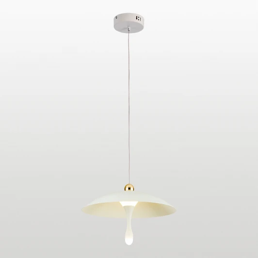 LSP-7341 Подвесной светильник светодиодный Lussole Irvine LSP-7341 (220V, на проводе, круглые)