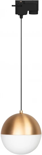 035941 Трековый светильник светодиодный LGD-EMISFERO-TRACK-HANG-2TR-R150-11W Day4000 (GD, 170 deg, 230V) (Arlight, IP20 Металл, 3 года) 035941