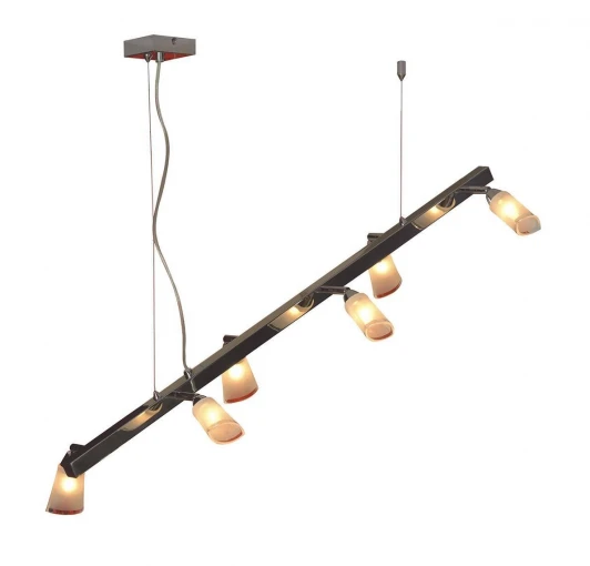 LSL-5093-06 Подвесной светильник Lussole Rasen LSL-5093-06