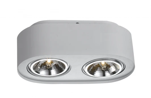 A5643PL-2WH Потолочный светильник Arte Lamp Cliff A5643PL-2WH