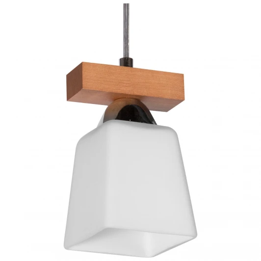 101-21-11 Подвесной светильник Дубравия Татьяна 101-21-11