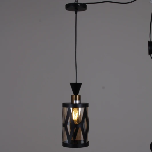 11181-0.9-01 BK Подвесной светильник Reluce 11181-0.9-01 BK (220V, на проводе)