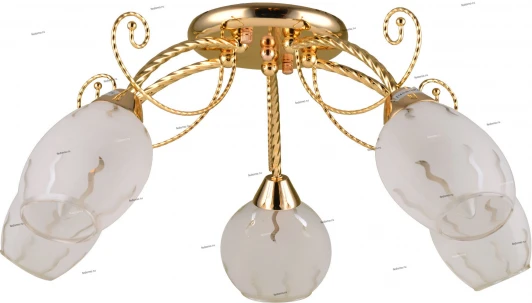 137/5PL Myone 137 137/5PL