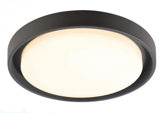 348067 Потолочный светильник уличный Deko-Light Ascella 348067