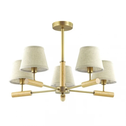 3703/5C Потолочная люстра Lumion Robin 3703/5C