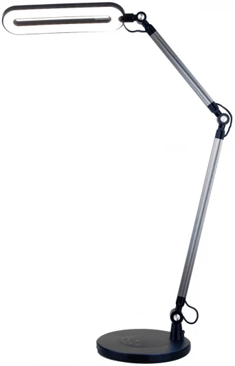 80420/1 Офисная настольная лампа Elektrostandard Modern 80420/1