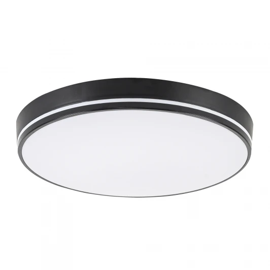 L3034-380 BK Потолочный светильник светодиодный с пультом с регулировкой цветовой температуры и яркости LED4U LED4U L3034-380 BK