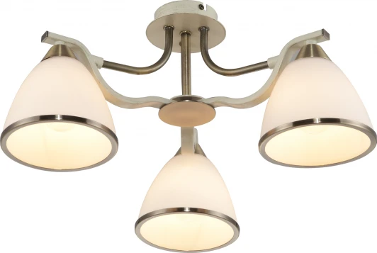 TL3670X-03AB Потолочная люстра Toplight Sheena TL3670X-03AB
