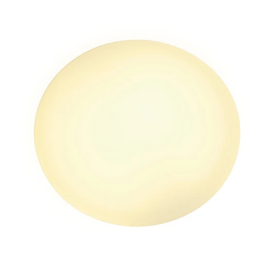 155250 Настенный светильник Slv Wl 155250