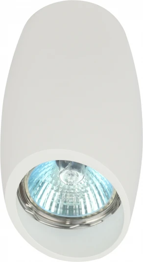 OL20 WH Точечный светильник ЭРА OL20 WH