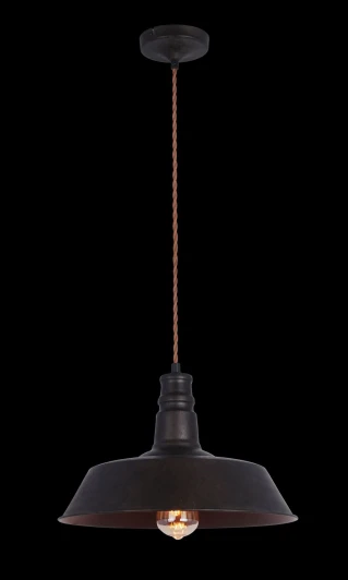 T023-01-R Подвесной светильник Maytoni Campane T023-01-R