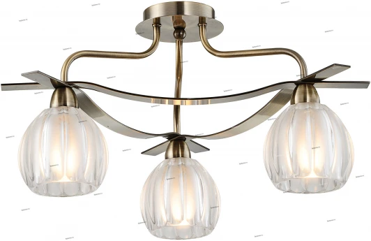 2300010/3C Snowlight 2300010 2300010/3C