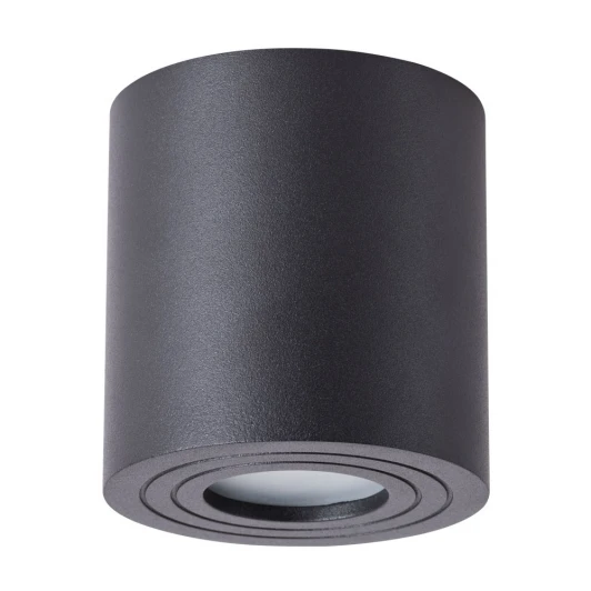 A1460PL-1BK Потолочный светильник уличный Arte Lamp Galopin A1460PL-1BK (220V, круглые, IP44)