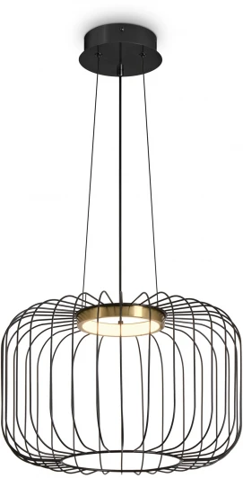 FR5398PL-L8B Подвесной светильник Freya Citrus FR5398PL-L8B (LED, 220V, на проводе, клетка)