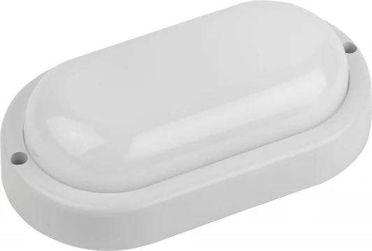 SPB-202-0-65K-008 Настенно-потолочный светильник светодиодный ЭРА SPB-202-0-65K-008 (220V, IP65)