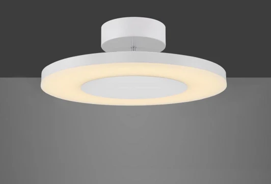 4492 Потолочный светильник Mantra Discobolo 4492