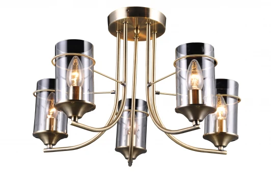 1068/5C Потолочная люстра J-Light Soletta 1068/5C