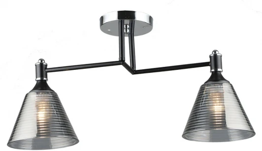 WD3619/2C-BK-CR-SMK Потолочная люстра Wedo Light Anneta WD3619/2C-BK-CR-SMK