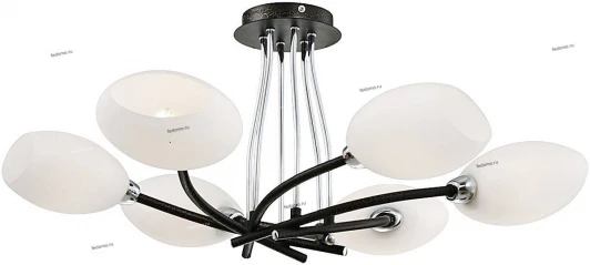 23-021-06CL Snowlight 2300021 23-021-06CL