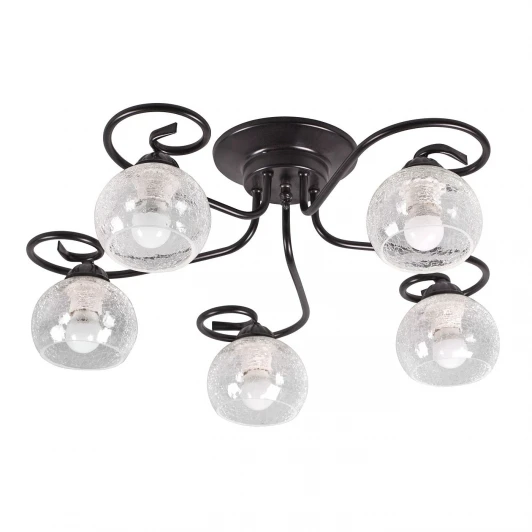 S9145-5 Люстра потолочная Day&Night, 5 плафонов, черный с прозрачным