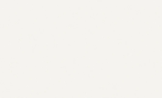 60009-02 Обои виниловые Erismann Bolero 60009-02 10,05 x 1,06 м