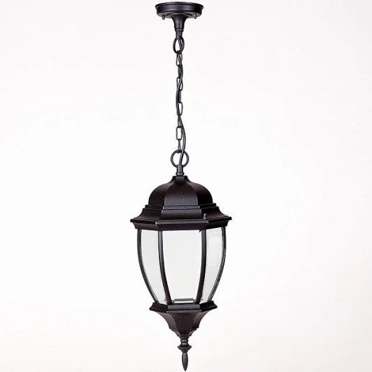 91205L Bl Уличный светильник подвесной Oasis Light 91205L Bl (220V, на цепи, IP44)