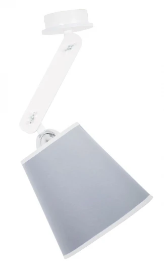 240-11-21 Потолочная люстра Дубравия Ким 240-11-21