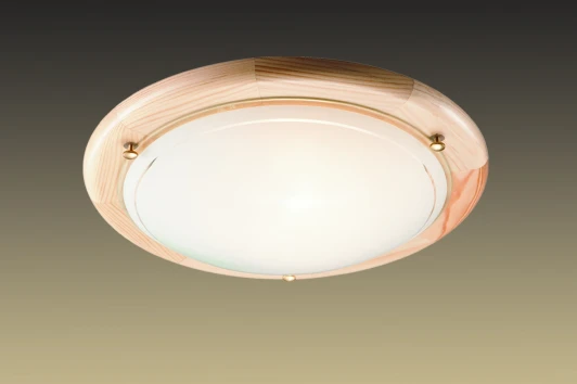 173 Настенно-потолочный светильник Sonex Riga 173