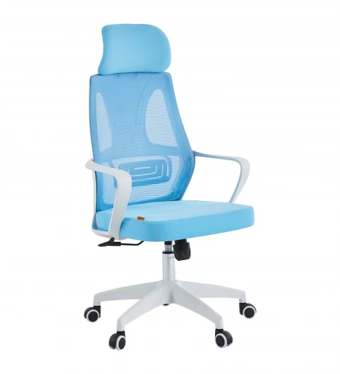 CHAIRMAN CH636 белый пластик Офисное кресло Chairman CH636 белый пластик, синий