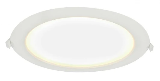 12395-24 Потолочный светильник уличный Globo Polly 12395-24