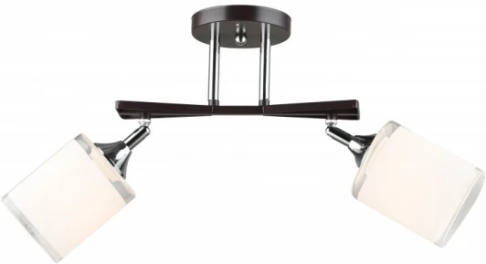 MD.5959-2-S-COFFEE+CH Потолочная люстра на штанге Imex MD.5959-2-S-COFFEE+CH