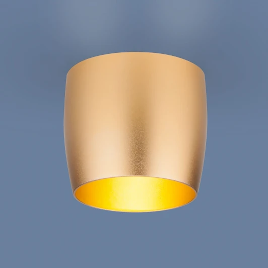 6074 MR16 GD золото Встраиваемый точечный светильник Elektrostandard 6074 MR16 GD золото