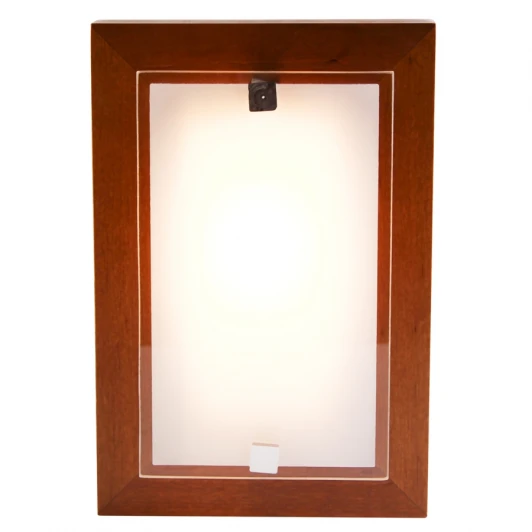 197-23-21 Настенно-потолочный светильник Дубравия Полина 197-23-21