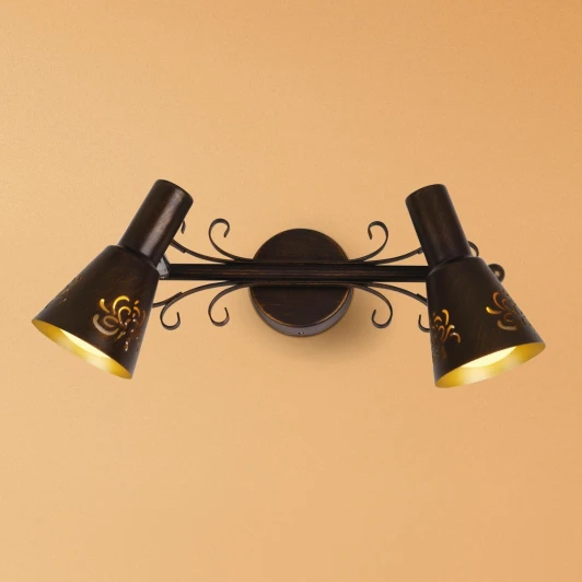 CL529521 Спот Citilux Дункан CL529521