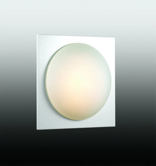 2762/1C Настенно-потолочный светильник Odeon Light Brido 2762/1C