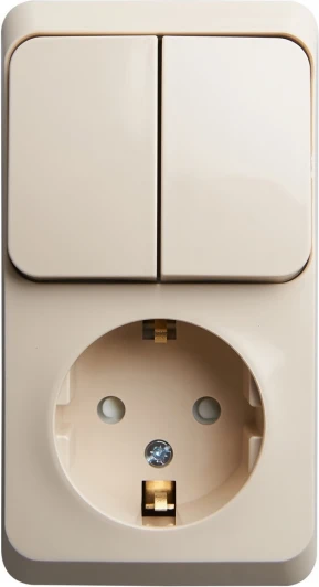 BPA16-202K Розетка накладная с заземлением с двухклавишным выключателем (кремовый) Systeme Electric BPA16-202K