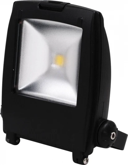 HL171L (068-002-0010) Прожектор уличный светодиодный Horoz, 1 плафон, черный с хромом и прозрачным