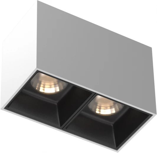 C065CL-02-L12W3K-W Потолочный светильник Maytoni Alfa LED C065CL-02-L12W3K-W 3000K 2x12W (220V)