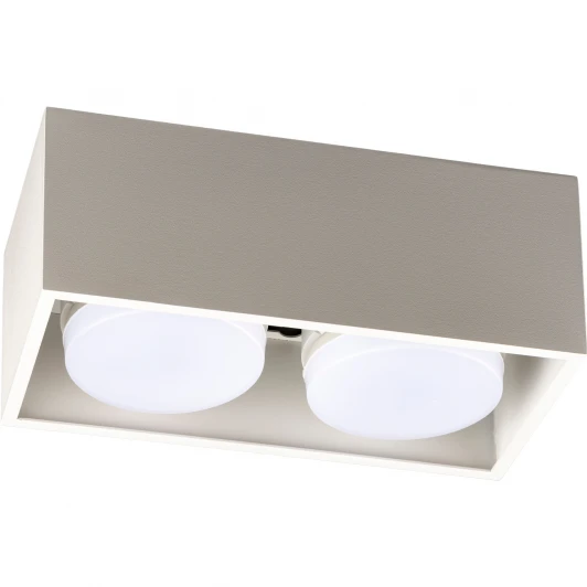 51403 9 Накладной светильник Ritter Arton 51403 9