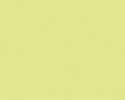 34248-8 Обои виниловые A.S. Creation X-Ray 34248-8 10,05 x 0,53 м