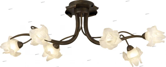 1372/6 Потолочная люстра Odeon Light Iris 1372/6