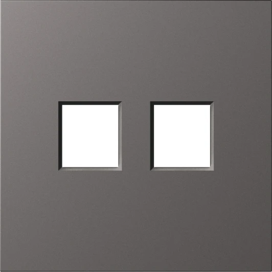 DS86945 Накладка 2-я для розеток RJ45,TV,SAT, матовый титан Donel S08 DS86945