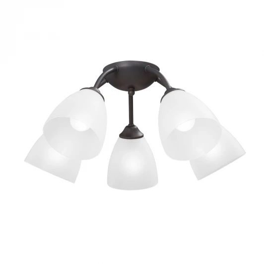 V3737-2/5PL Потолочная люстра Vitaluce V3737-2/5PL