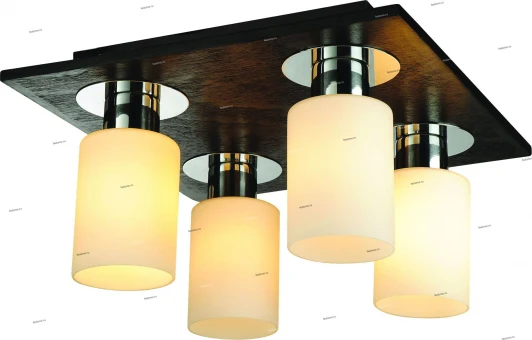 1283101/4C Snowlight 1283101 1283101/4C