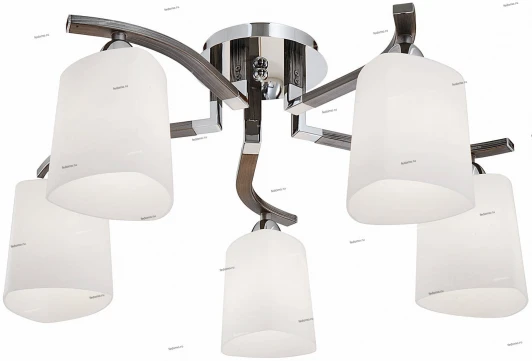 23-015-05C Snowlight 2300015 23-015-05C