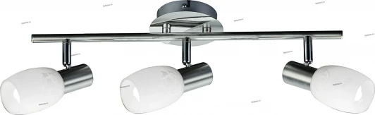 13090-33 Blitz 13090 13090-33